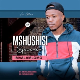 Mshushisi Gcwensa