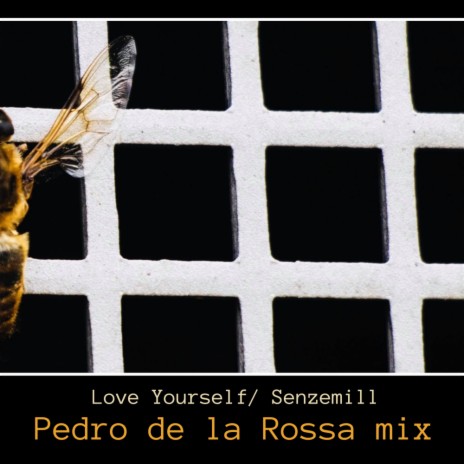 Love Yourself (Original Mix) ft. Senzemill
