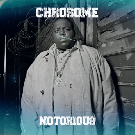 Notorious | Boomplay Music
