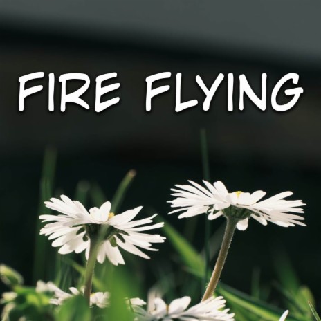 Fire Flying | Boomplay Music
