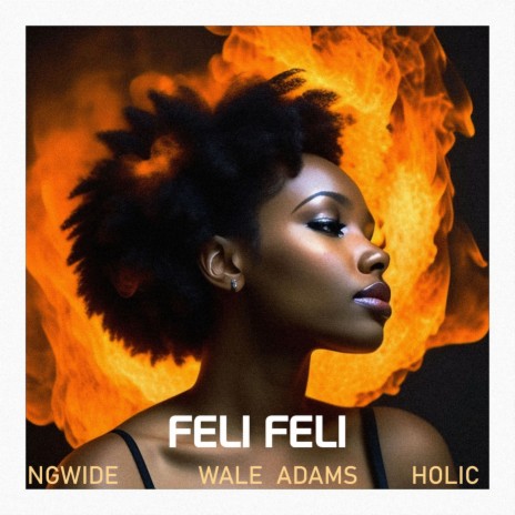 Feli Feli ft. Wale Adams & Holic | Boomplay Music