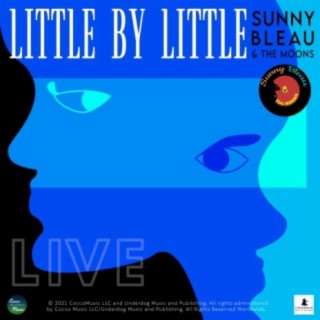 Little by Little LIVE! (feat. The Moons)