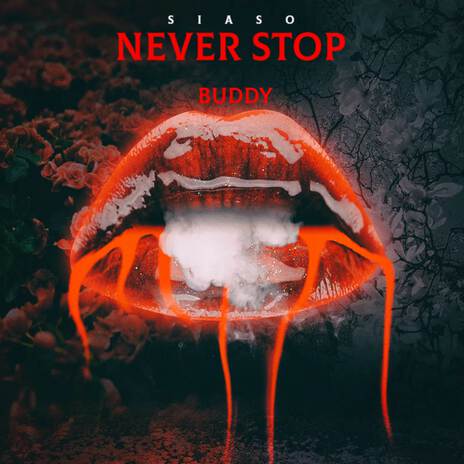 Never Stop BUDDY | Boomplay Music