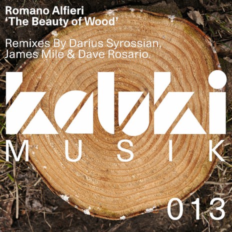 The Beauty Of Wood (Darius Syrossian Remix)