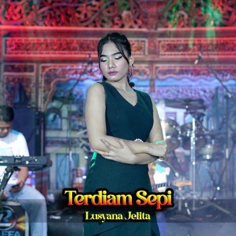 Terdiam Sepi | Boomplay Music