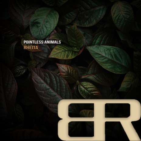 Rheita (Original Mix) | Boomplay Music