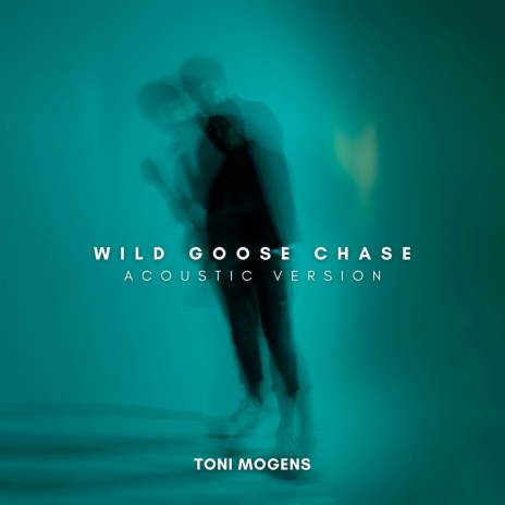 Wild Goose Chase | Boomplay Music