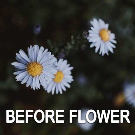 Before Flower | Boomplay Music