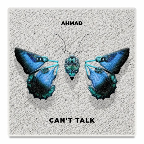 Can't Talk | Boomplay Music