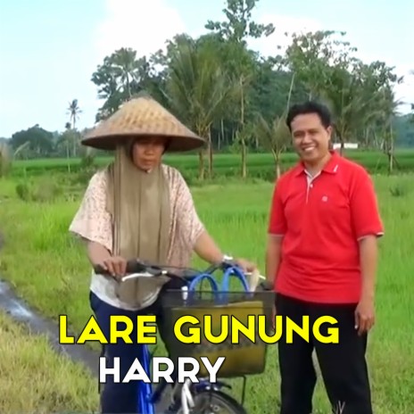 Lare Gunung | Boomplay Music