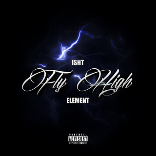 Fly High ft. Element Musik lyrics | Boomplay Music