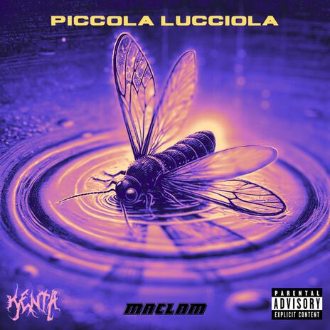 PICCOLA LUCCIOLA ft. Maclam | Boomplay Music