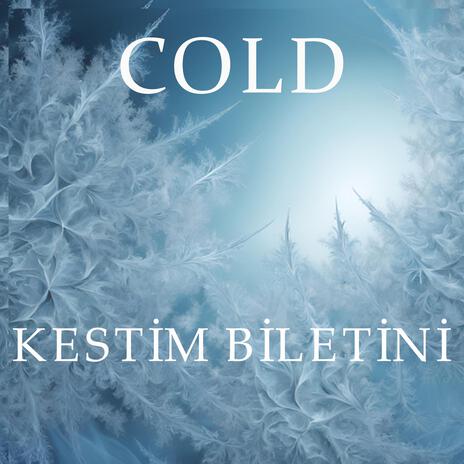 Kestim Biletini | Boomplay Music