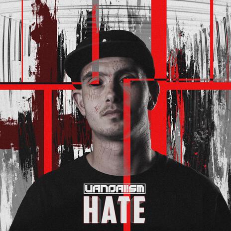 Hate (Radio Edit) | Boomplay Music