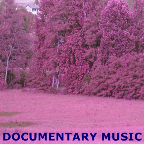 Documentary Music | Boomplay Music