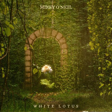 White Lotus | Boomplay Music