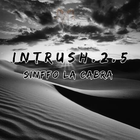 Intrush.2.5 | Boomplay Music