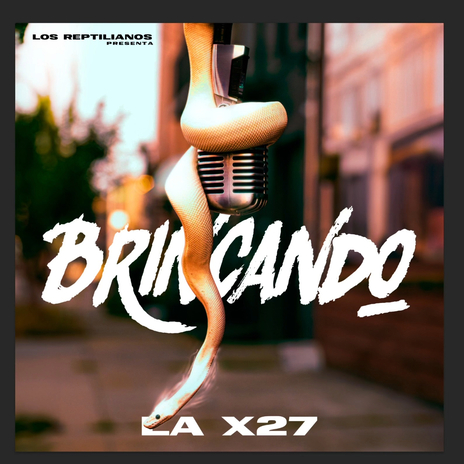 BRINCANDO | Boomplay Music