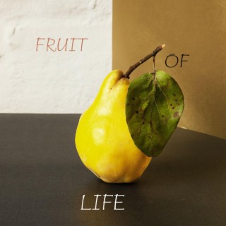 Fruit of Life lyrics | Boomplay Music