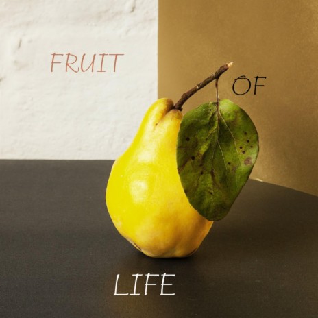 Fruit of Life | Boomplay Music