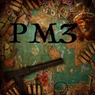 PM3 lyrics | Boomplay Music