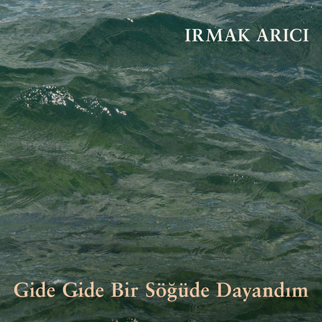 Gide Gide Bir Söğüde Dayandım | Boomplay Music