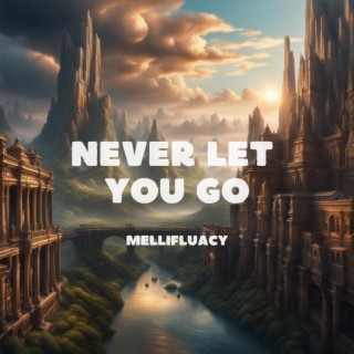 Never Let You Go lyrics | Boomplay Music