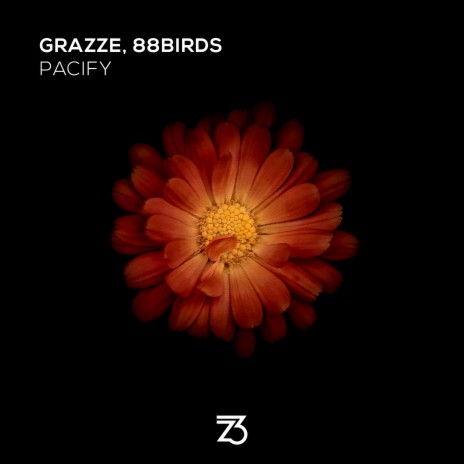 Pacify (Piano Mix) ft. 88Birds