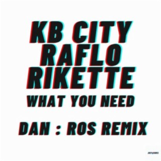 What you need (Dan:Ros Remix)