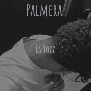 PALMERA