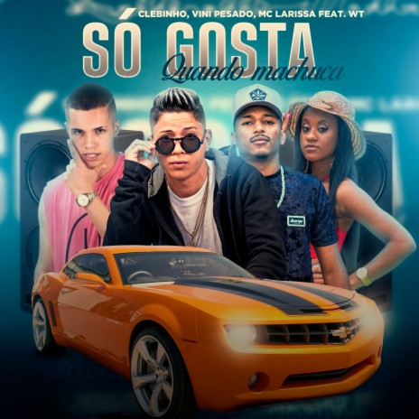 Só Gosta Quando Machuca ft. Wt Na Base, Vini Pesado & Mc Larissa | Boomplay Music