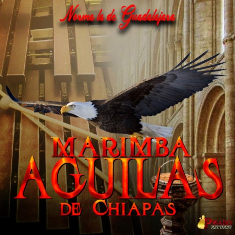 Marimba Aguilas De Chiapas - Aguilas MP3 Download & Lyrics | Boomplay