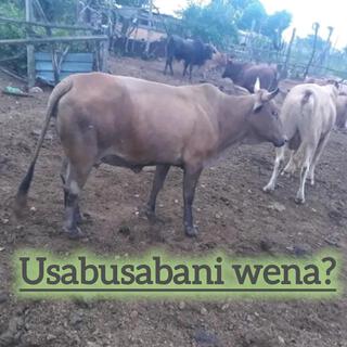 Usabusabani wena