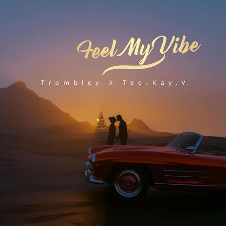 Feel My Vibe ft. Tee-Kay.V | Boomplay Music