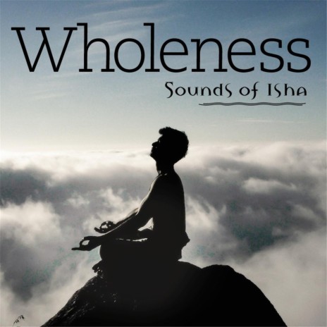 Wholeness | Boomplay Music