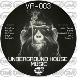 Underground House Music 003