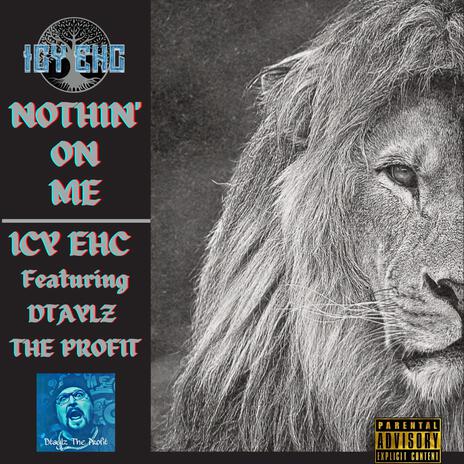 Nothin' On Me ft. Dtaylz the Profit