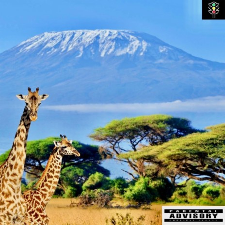 Kilimanjaro | Boomplay Music