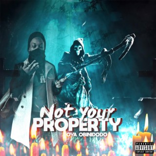 Not Your Property