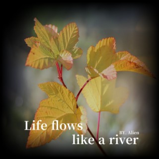 Life flows like a river