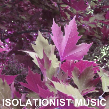 Isolationist Music