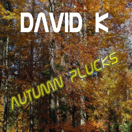 David K - Autumn Plucks | Boomplay Music