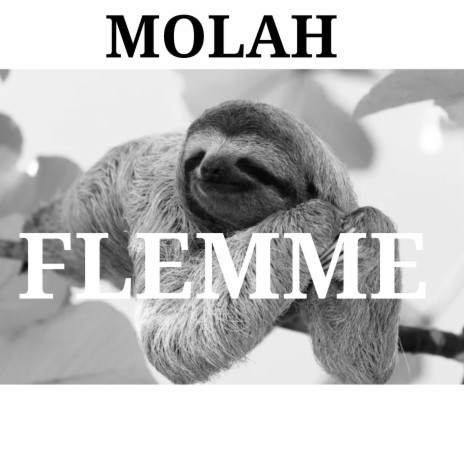 FLEMME