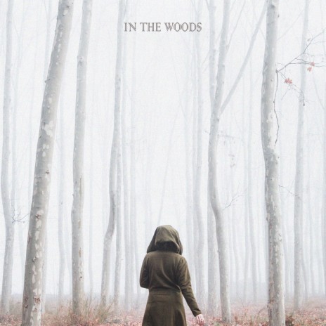 In The Woods | Boomplay Music