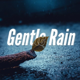 Gentle Rain
