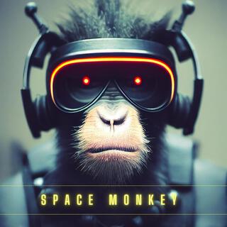 Space Monkey