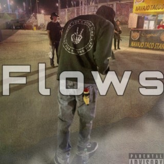 Flows v1