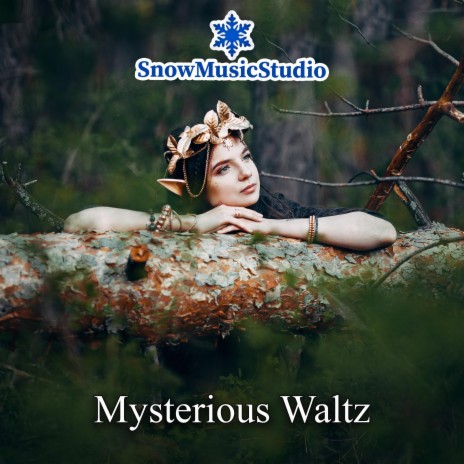 Mysterious Waltz | Boomplay Music