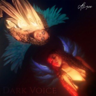 Dark Voice lyrics | Boomplay Music