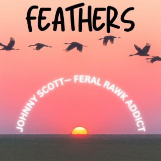 Feathers